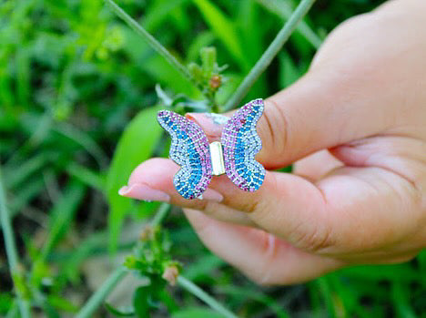 Anillo Felicidad